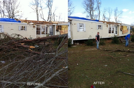 Chainsaw before & after